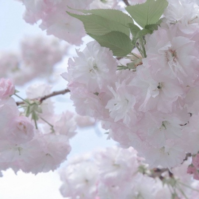 江永福瑞交流群